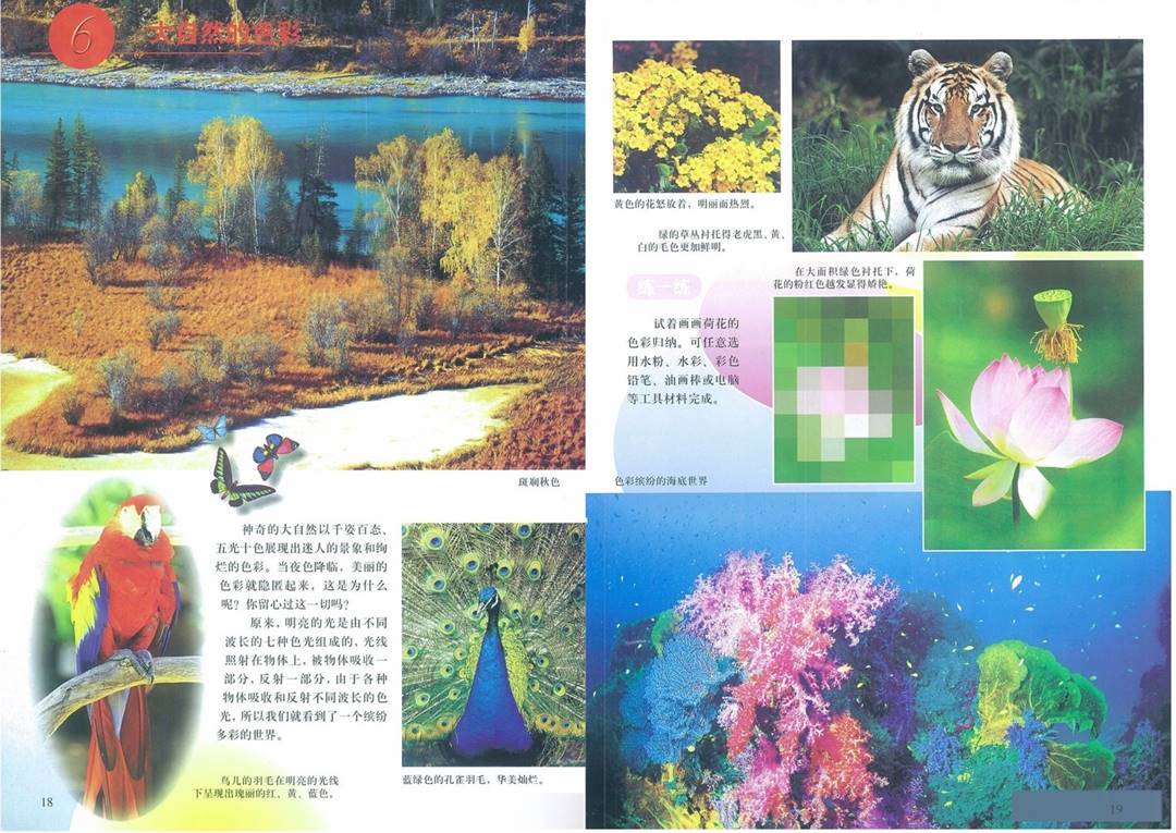 图片11